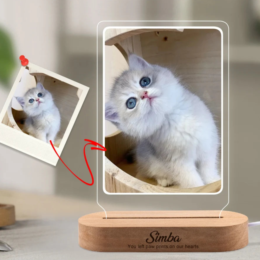 Personalized Pet Memorial Photo Frame Light