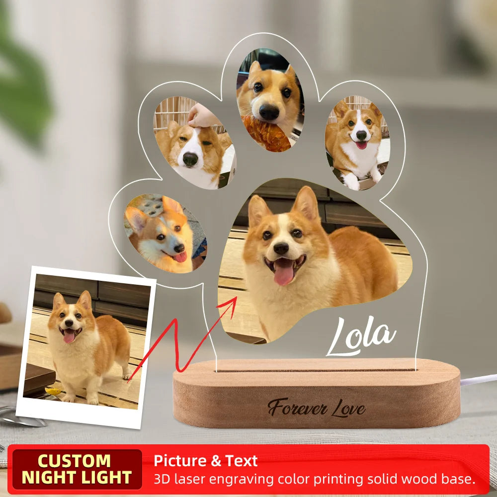 Personalized Pet Memorial Photo Frame Light