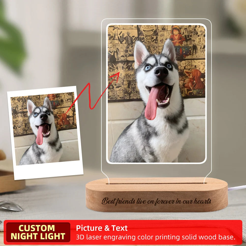 Personalized Pet Memorial Photo Frame Light