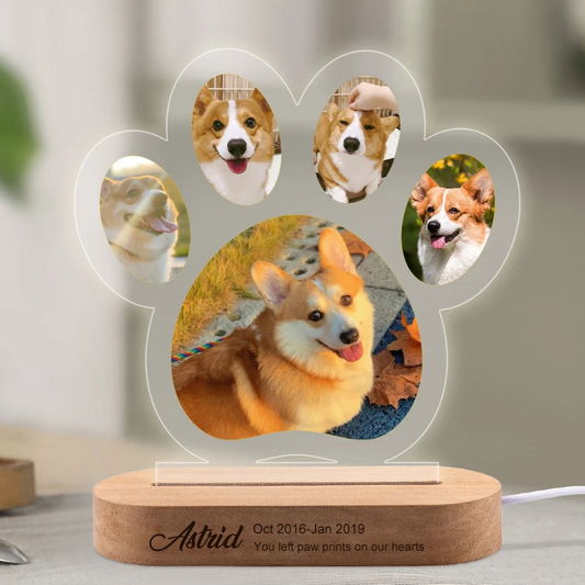 Personalized Pet Memorial Photo Frame Light