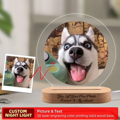 Personalized Pet Memorial Photo Frame Light
