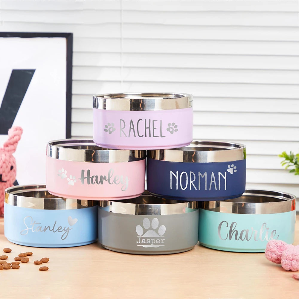 Custom Name Stainless Steel Pet Feeding Bowl