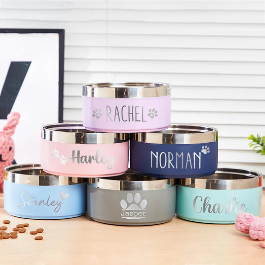 Custom Name Stainless Steel Pet Feeding Bowl