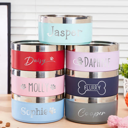 Custom Name Stainless Steel Pet Feeding Bowl