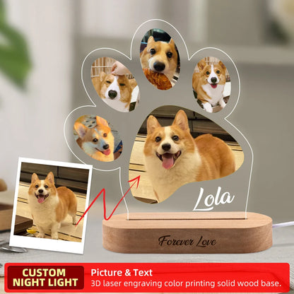 Personalized Pet Memorial Photo Frame Light