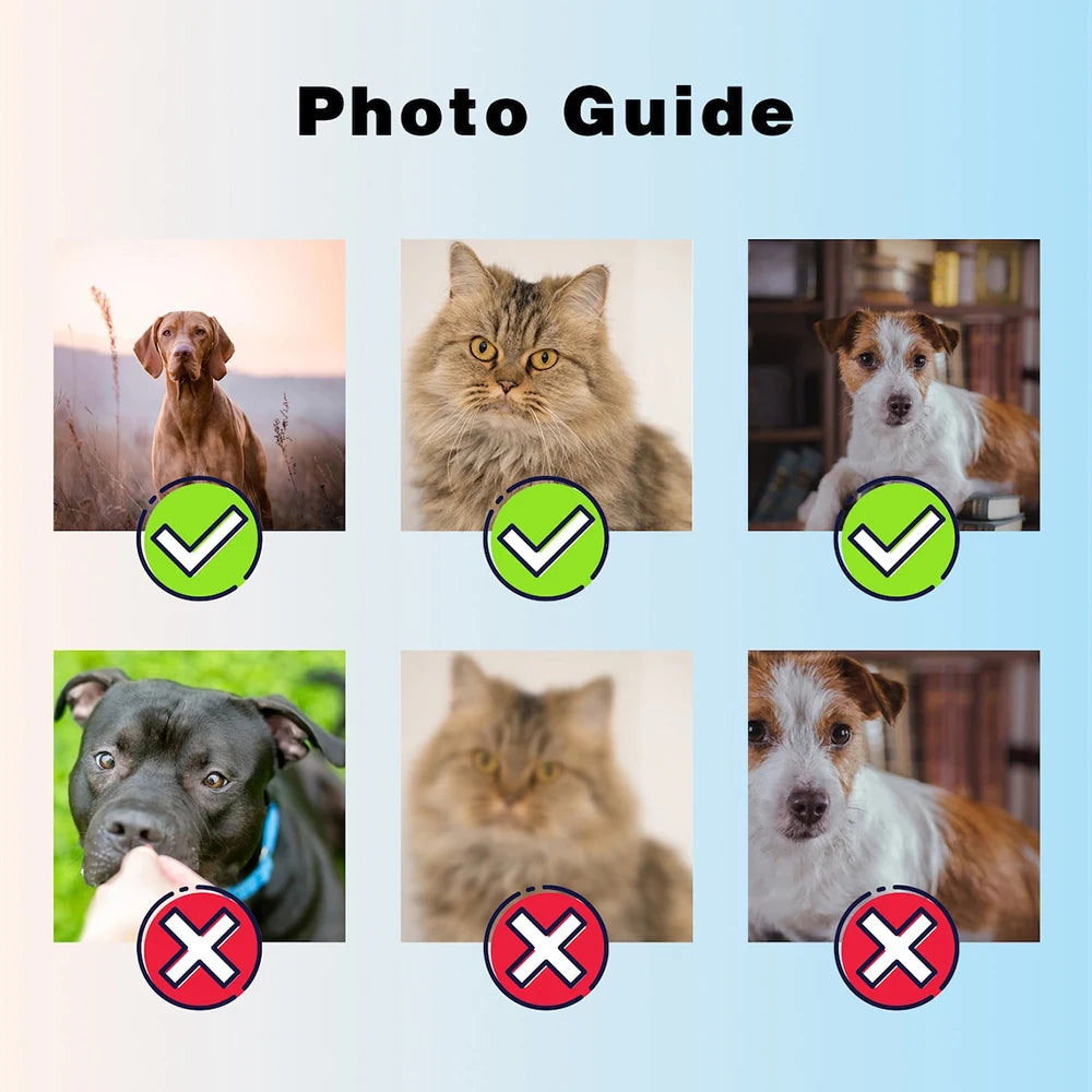 Custom Dog or Cat Photo Socks