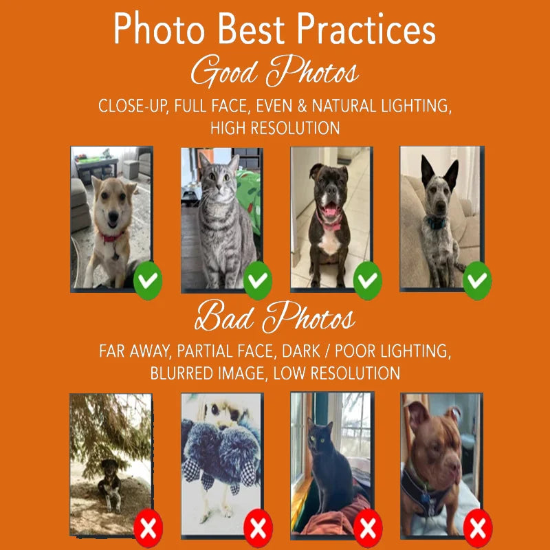 Custom Pet Photo Christmas Poster